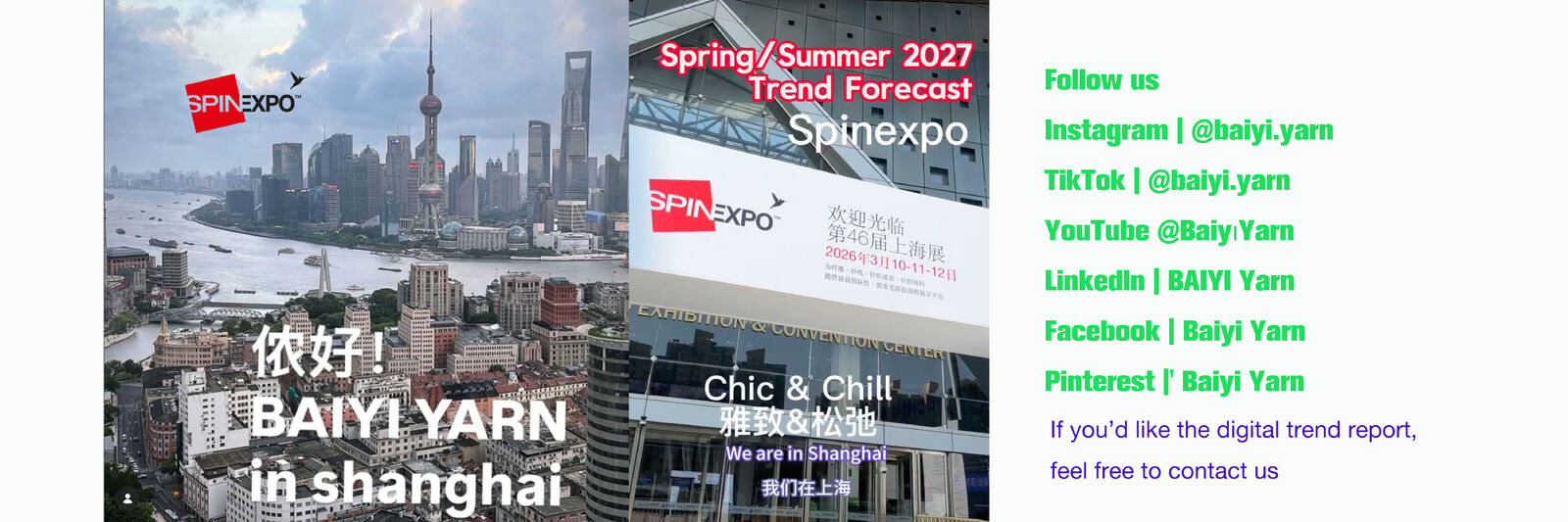 알파카 털 양모사